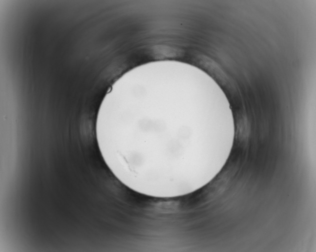 X0000096160426200802151418