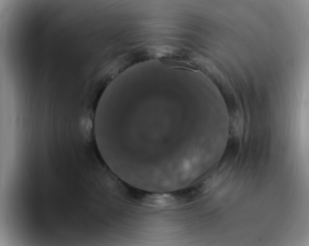 X0000096160427200802151418