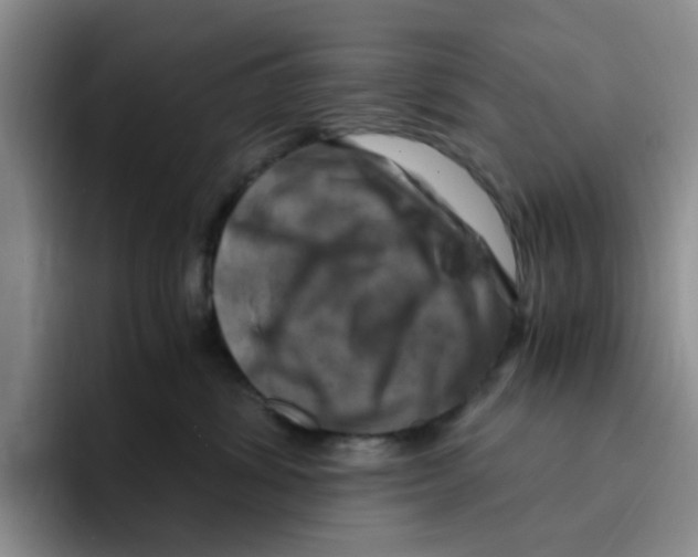 X0000096160428200802151418