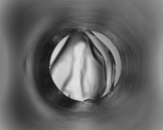 X0000096160429200802151418