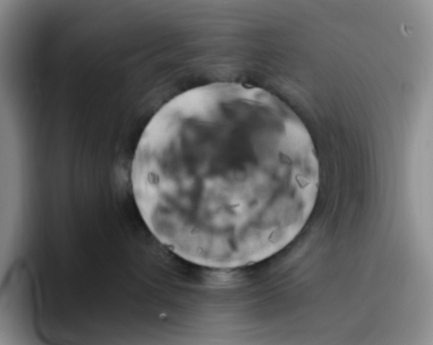 X0000096160432200802151418