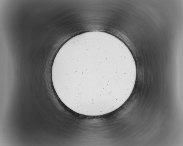 X0000096160433200802151418