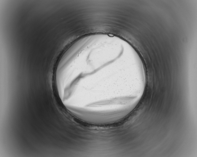 X0000096160434200802151418