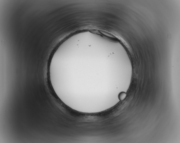 X0000096160437200802151418