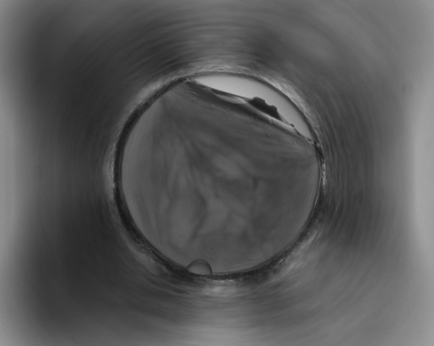 X0000096160438200802151418