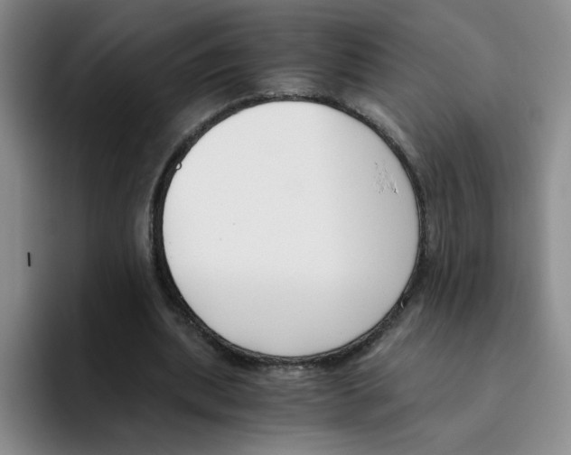 X0000096160439200802151418