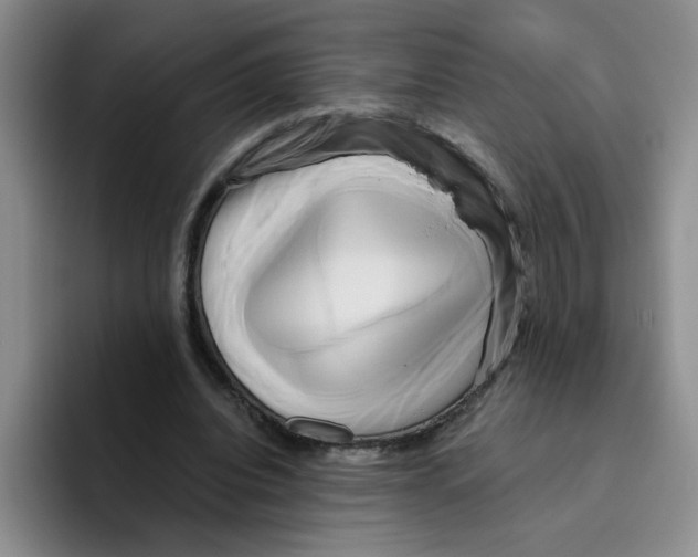 X0000096160440200802151418