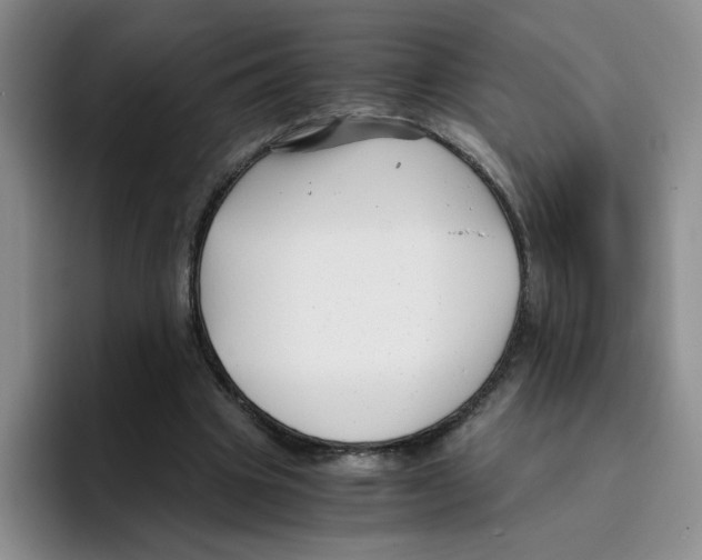 X0000096160441200802151418