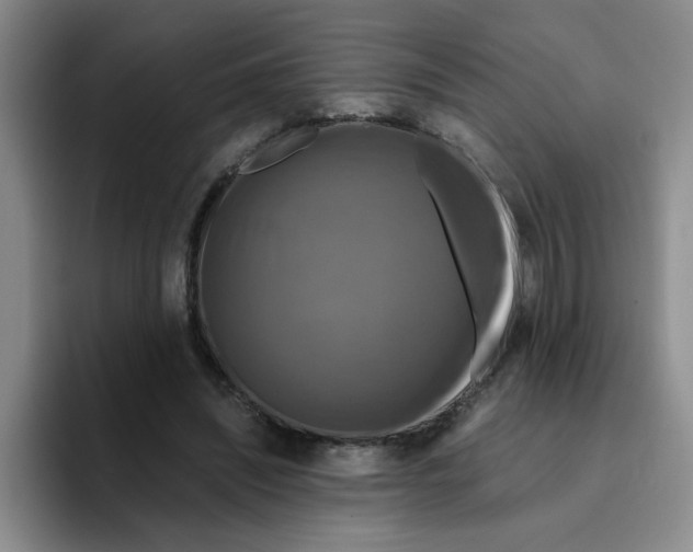 X0000096160444200802151418