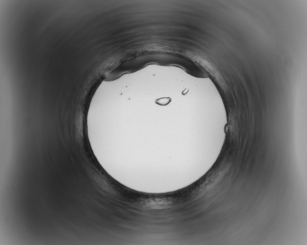 X0000096160445200802151418