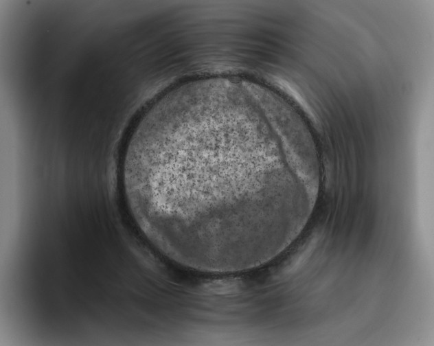 X0000096160447200802151418