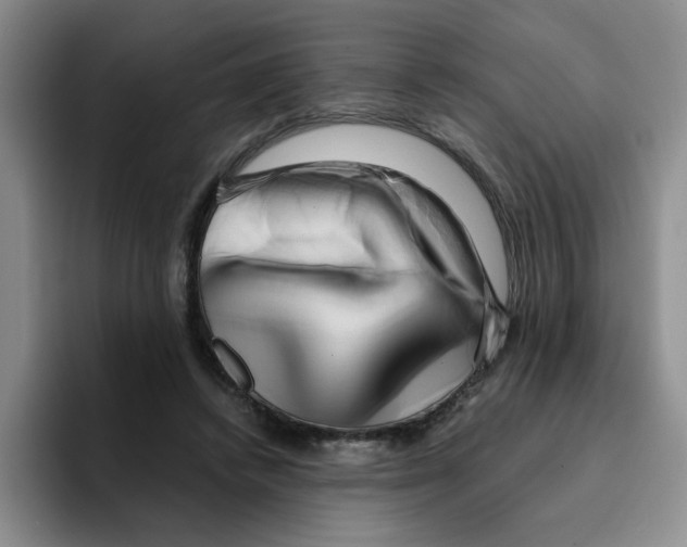 X0000096160448200802151418