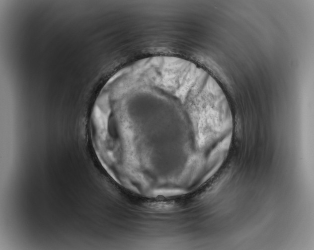 X0000096160449200802151418