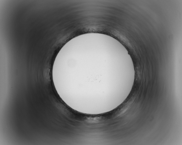 X0000096160450200802151418