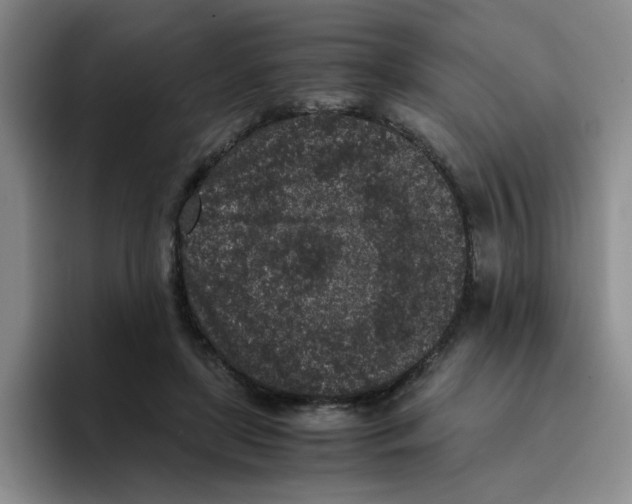 X0000096160451200802151418