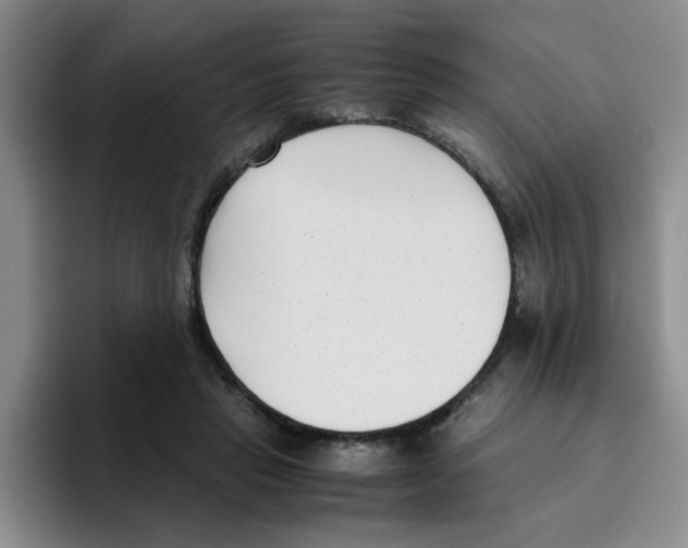 X0000096160453200802151418