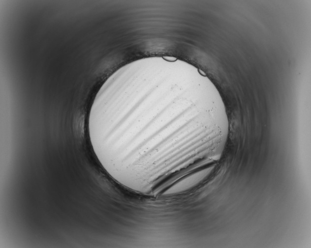 X0000096160454200802151418