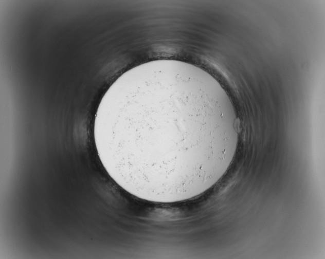 X0000096160455200802151418