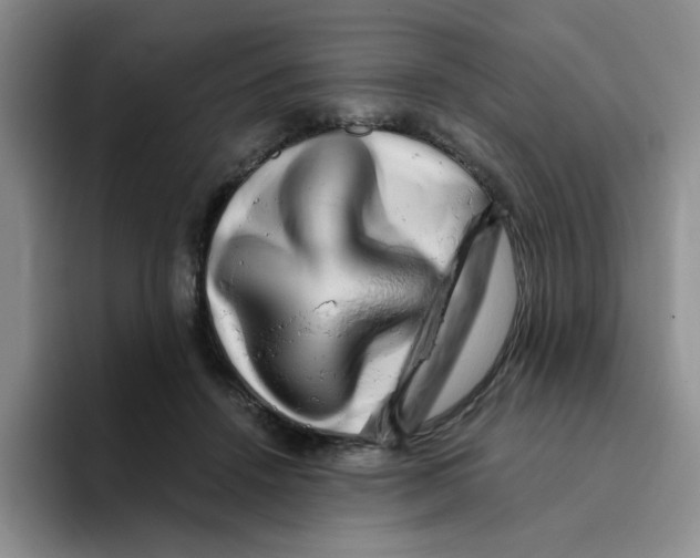 X0000096160456200802151418