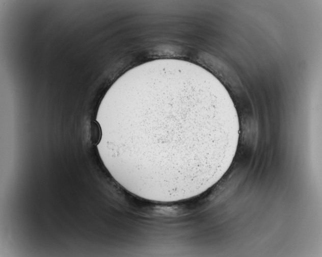 X0000096160457200802151418