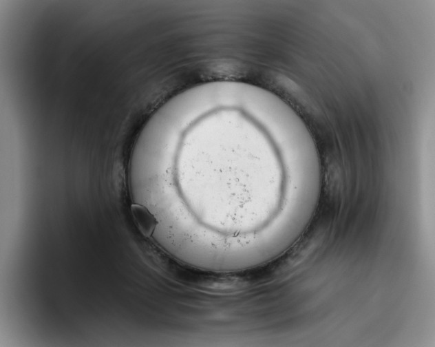 X0000096160459200802151418