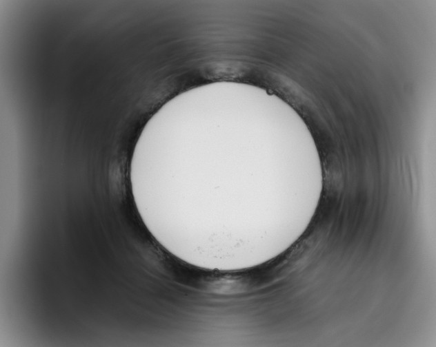 X0000096160460200802151418