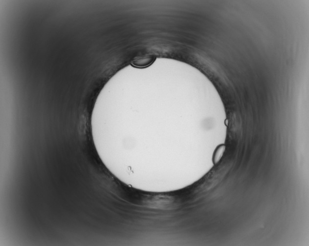 X0000096160463200802151418