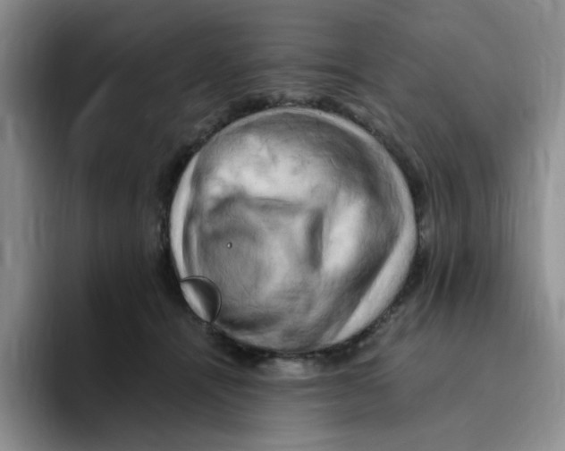 X0000096160464200802151418