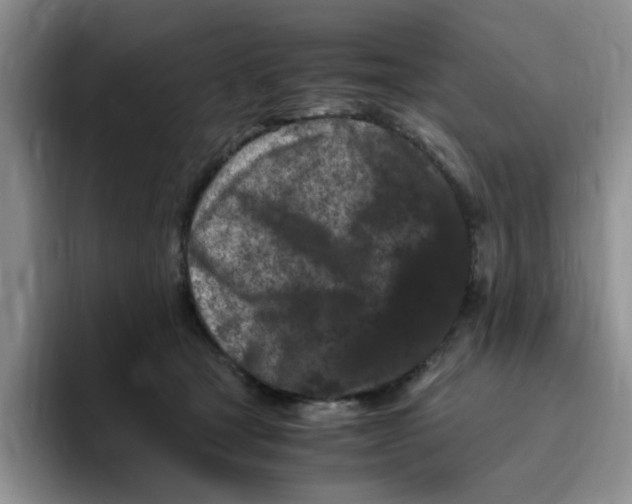 X0000096160465200802151418