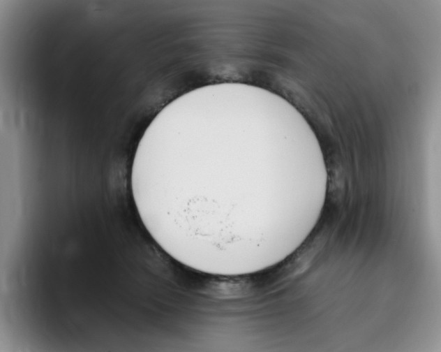 X0000096160466200802151418