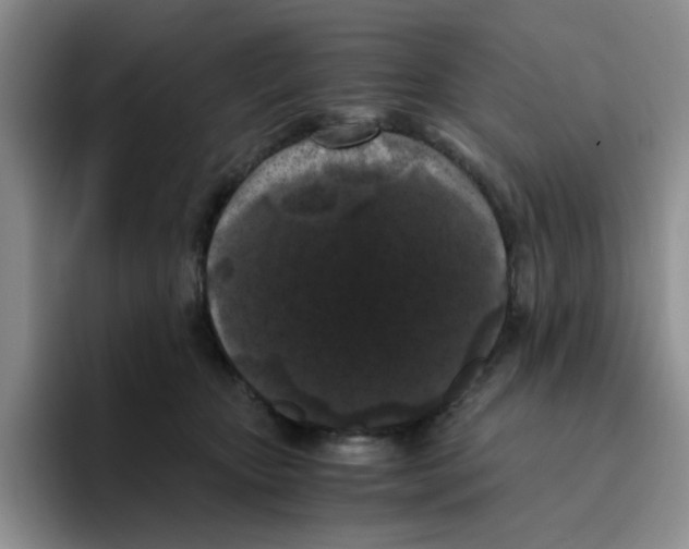 X0000096160467200802151418