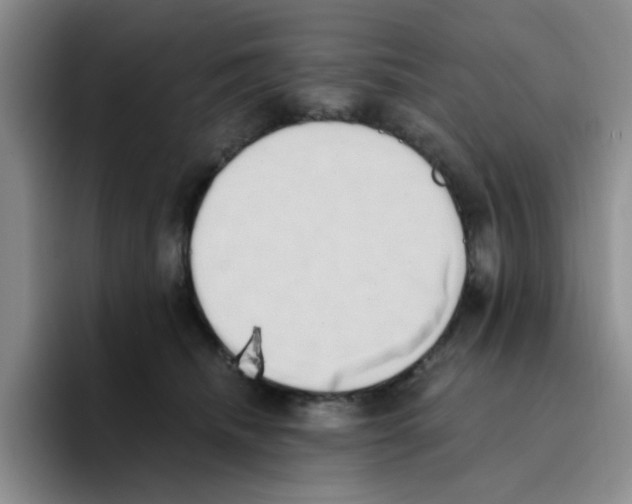 X0000096160468200802151418