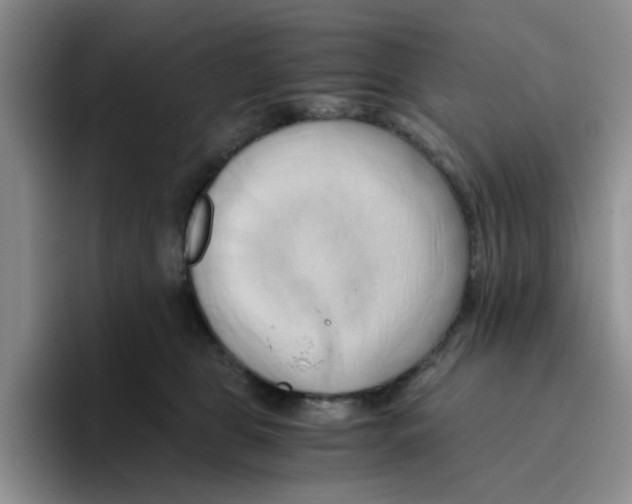 X0000096160469200802151418