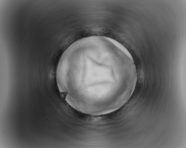 X0000096160472200802151418