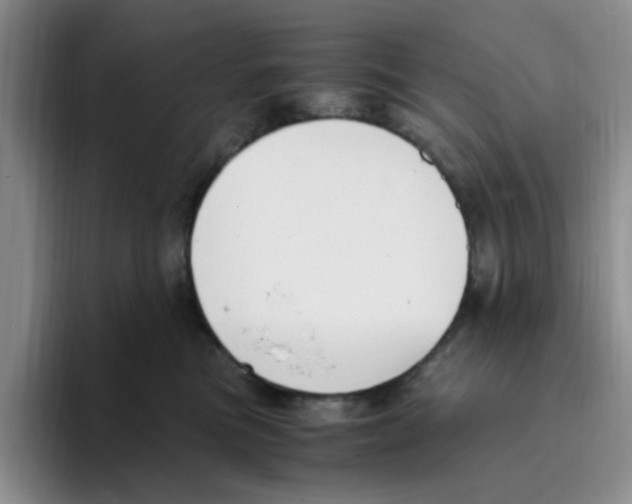 X0000096160473200802151418