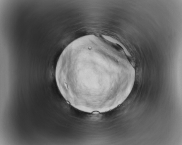 X0000096160474200802151418