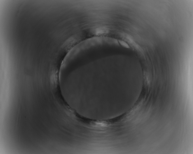 X0000096160475200802151418