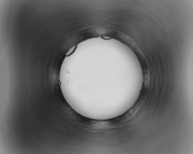 X0000096160476200802151418