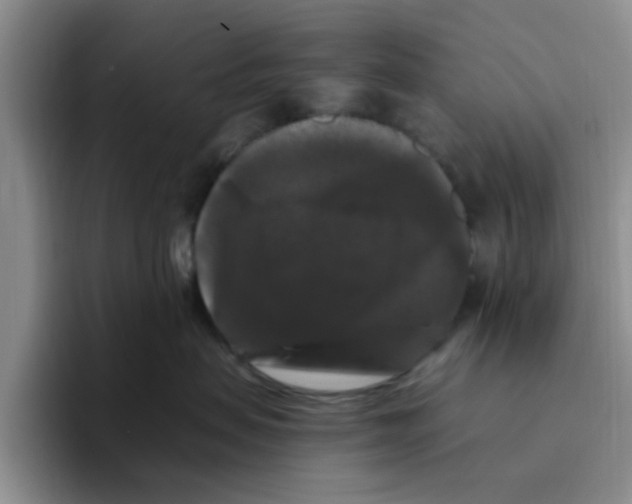 X0000096160479200802151418