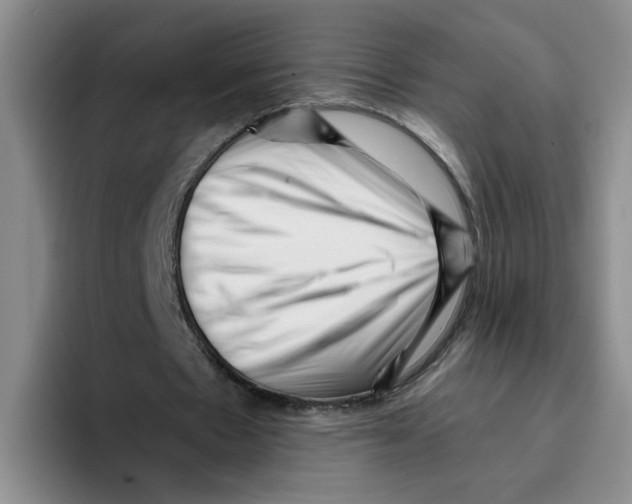 X0000096160481200802151418