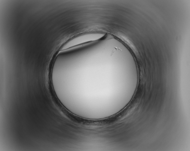 X0000096160485200802151418