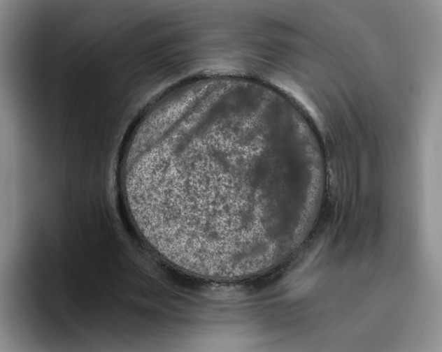 X0000096160487200802151418