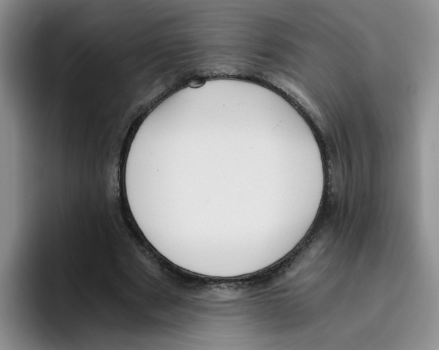 X0000096160489200802151418