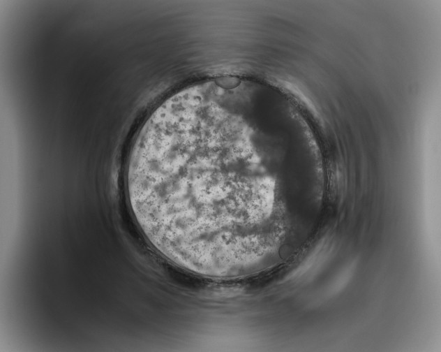 X0000096160491200802151418