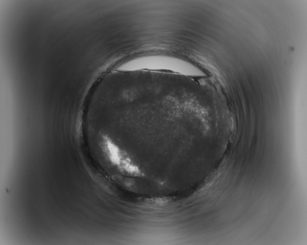 X0000096160492200802151417