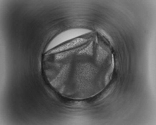 X0000096160493200802151417