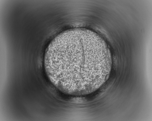 X0000096160499200802151417