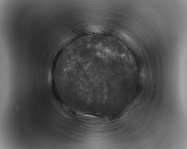 X0000096160500200802151417