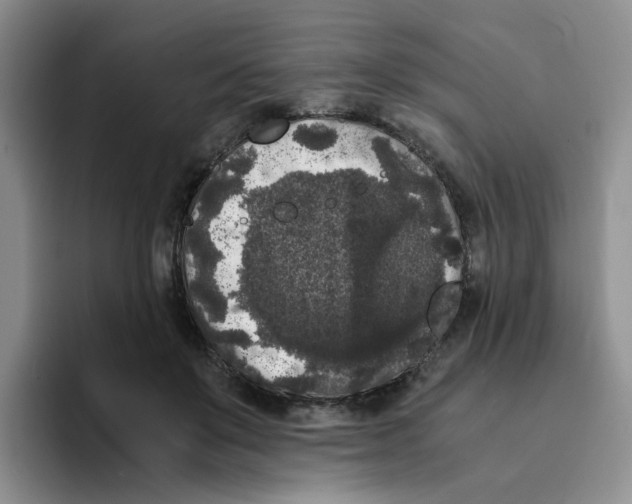 X0000096160503200802151417