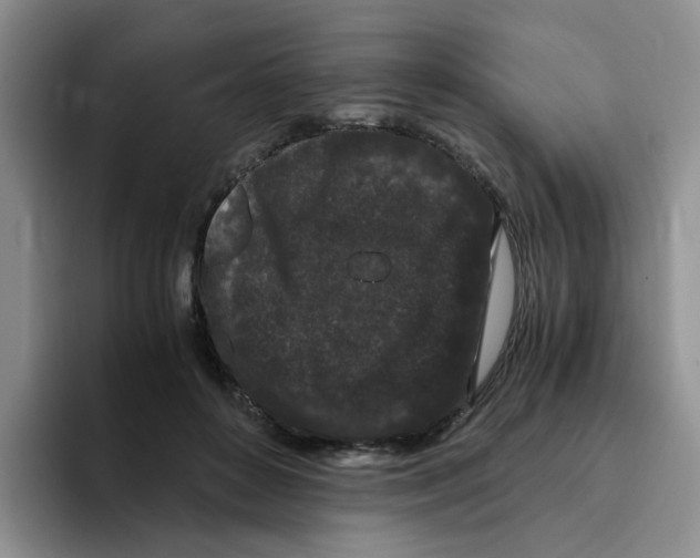 X0000096160504200802151417